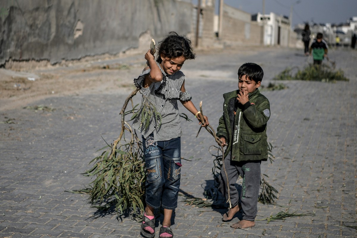 KHAN YUNIS, GAZA -  NOVEMBER 29:  Children collect any available wood for their needs due to the absence of gas as Palestinians continue to live under difficult conditions amid humanitarian pause in Khan Yunis, Gaza on November 29, 2023. (Photo by Abed Zagout/Anadolu via Getty Images)
